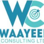 waayeel Consulting