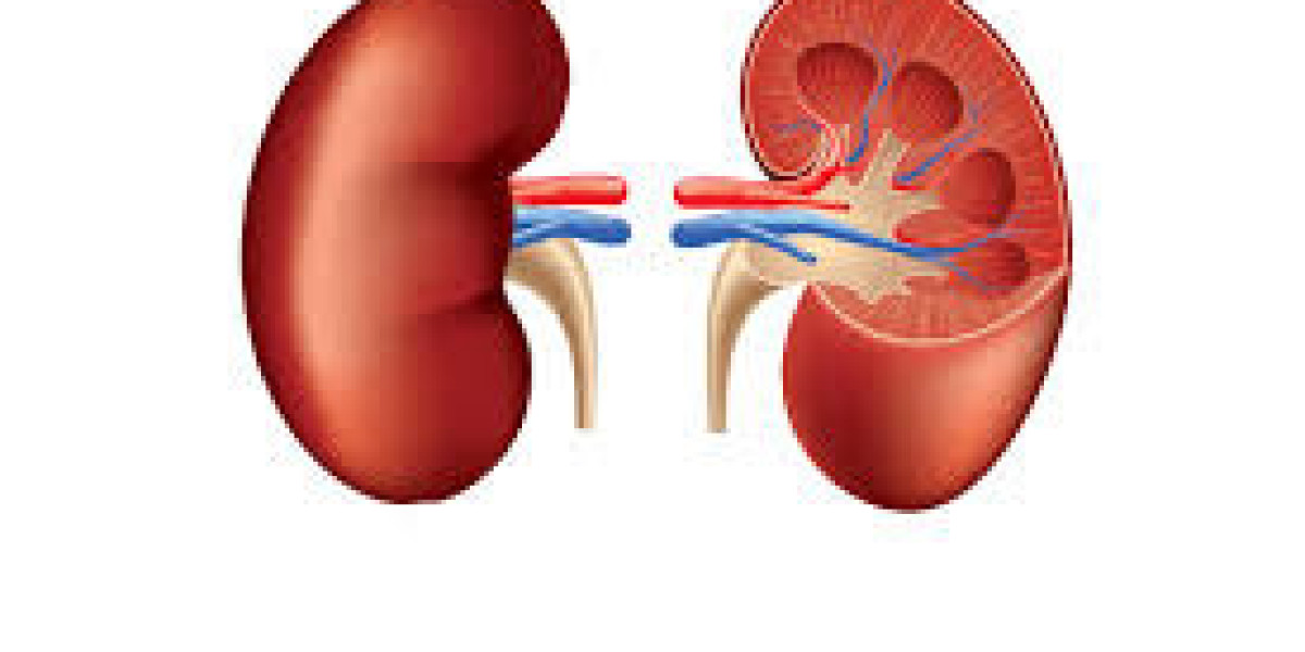 Acute Renal Failure Market Trends: Epidemiology, Size, Share, Analysis and Forecast till (2024-2034)