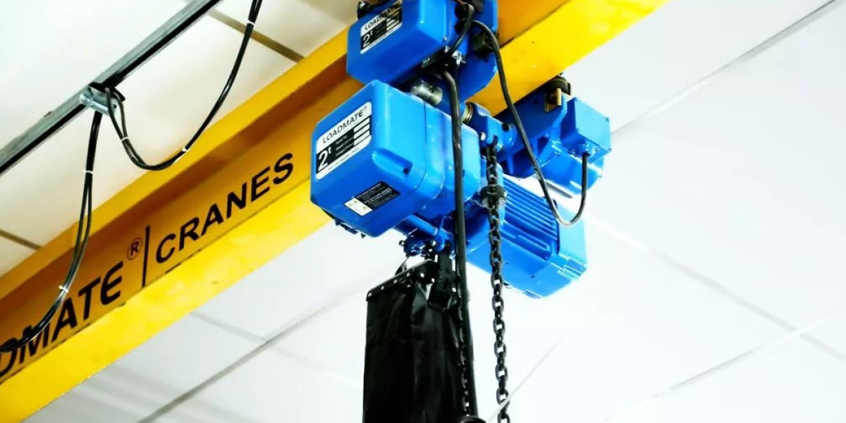 Lifting Horizons: Exploring the Dynamics of the Global Crane and Hoist Industry