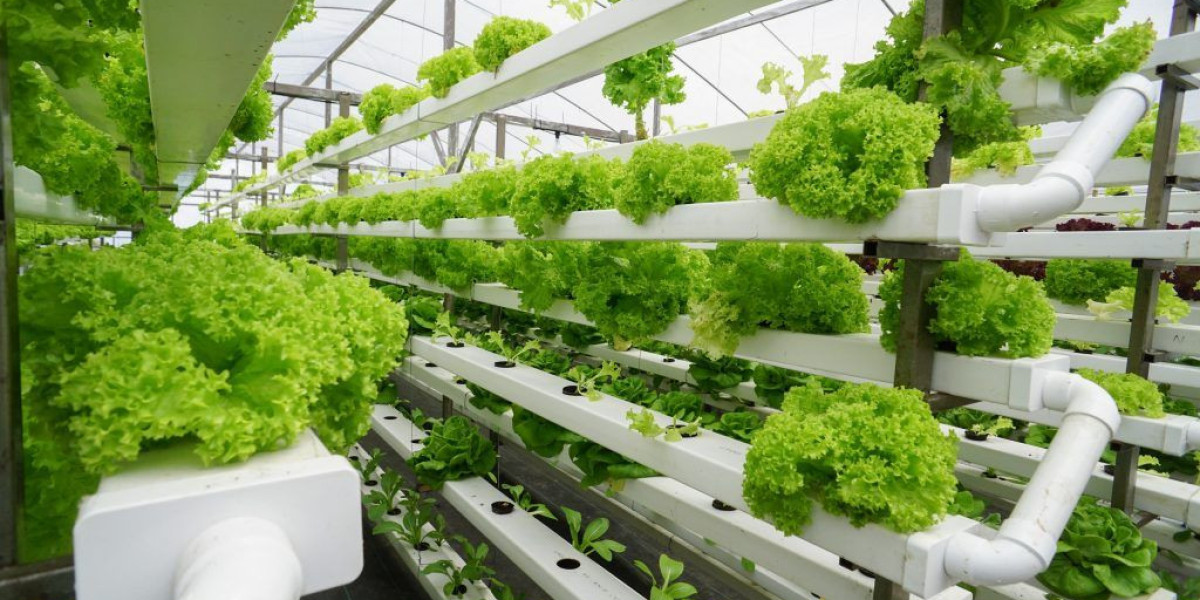 Smart Indoor Gardening System Market is Estimated to Witness High Growth Owing to Rising Urbanization