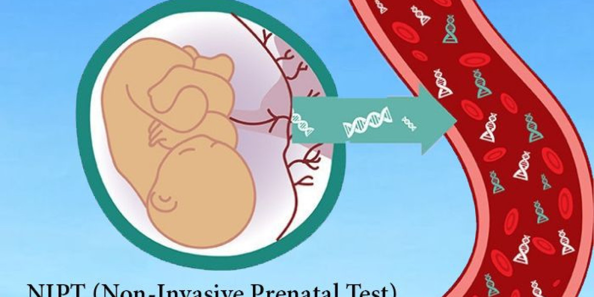 The Booming North Africa Non-Invasive Prenatal Testing Market Is In Trends By Increased Awareness About Early Detection 