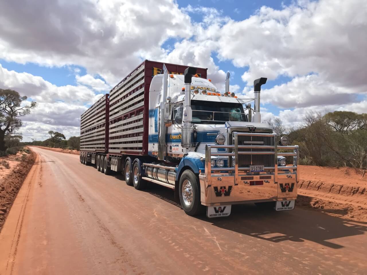 Expert Services of Livestock Transport In Australia