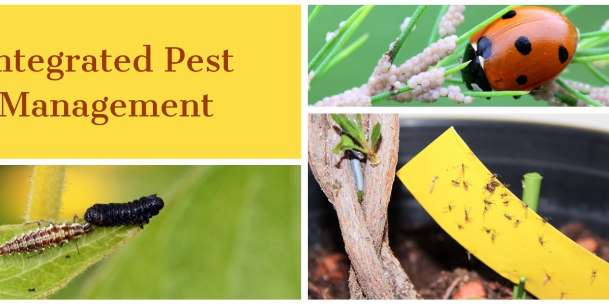 Integrated Pest Management Pheromones Market Poised to Witness High Growth Due to Increased Emphasis on Sustainable Agri