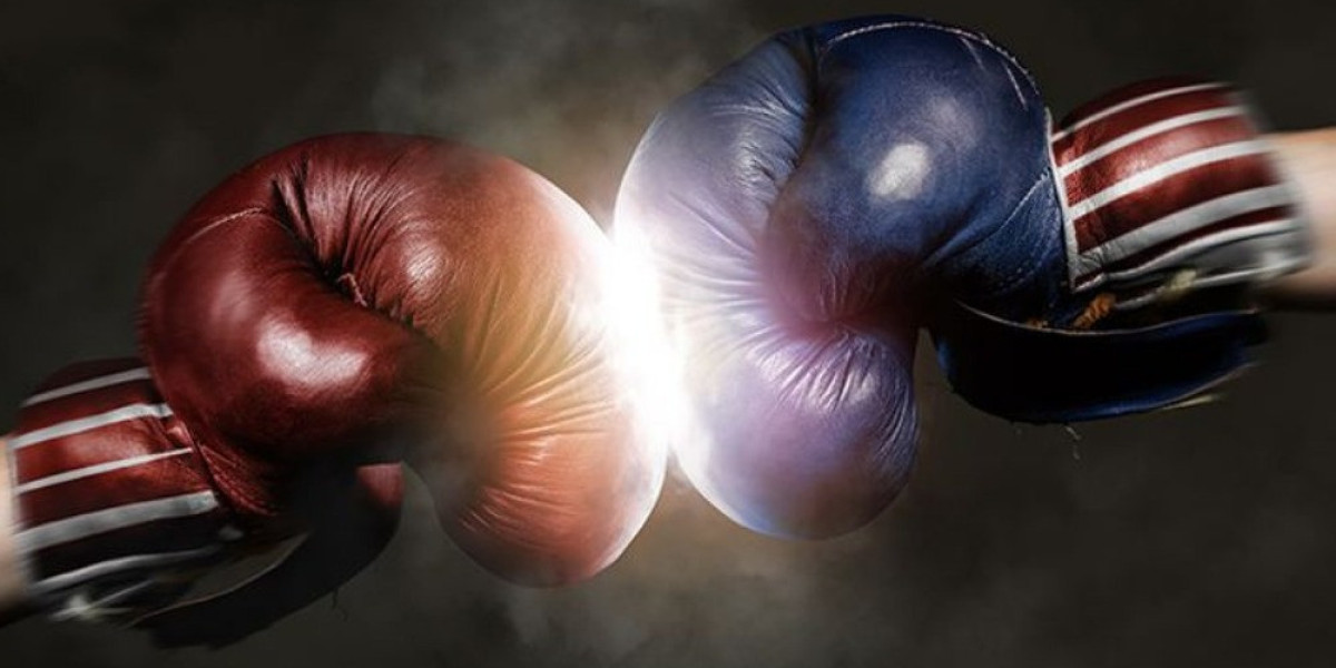 Boxing Gloves Market primed for growth driven by increasing popularity of combat sports