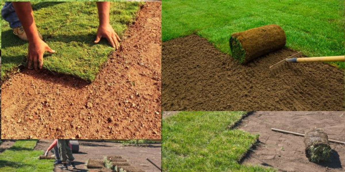 Sod Installation in Different Climates: Considerations and Challenges