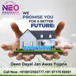 NEO Properties