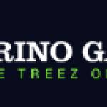 Brino Games