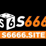 S6666 Site