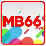 MB66 MB66