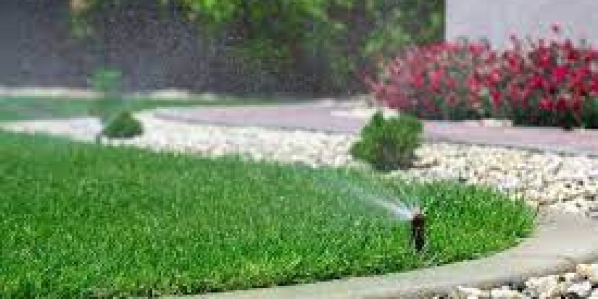 Maximizing Your Landscape’s Potential with Expert Irrigation and Drainage Solutions in Florida