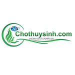 Cho thuy sinh