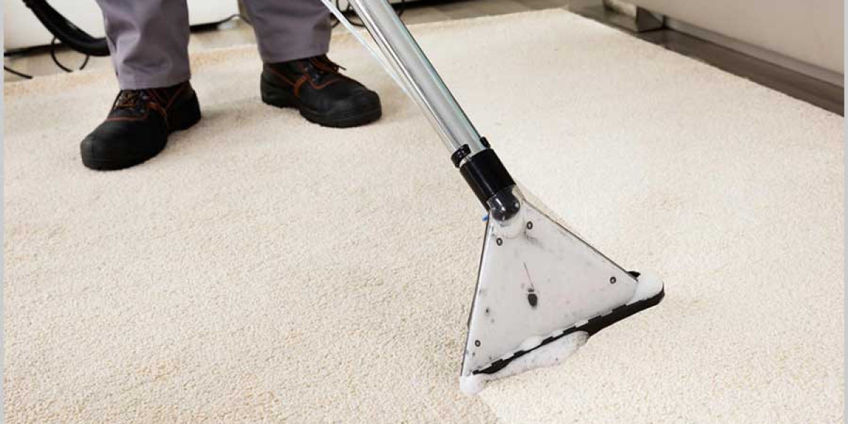 Why Professional Carpet Cleaning Should Be a Regular Routine for Every Home