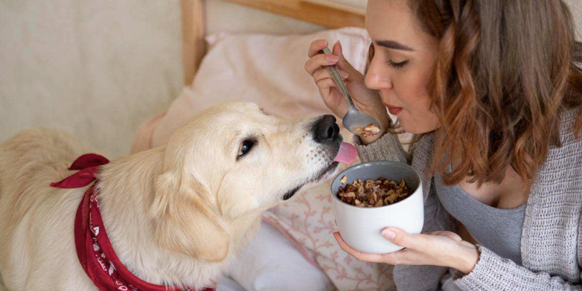 How to Ensure Your Dog’s Well-being: Tips on Probiotics