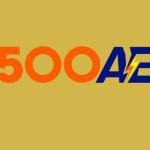 500aee ink