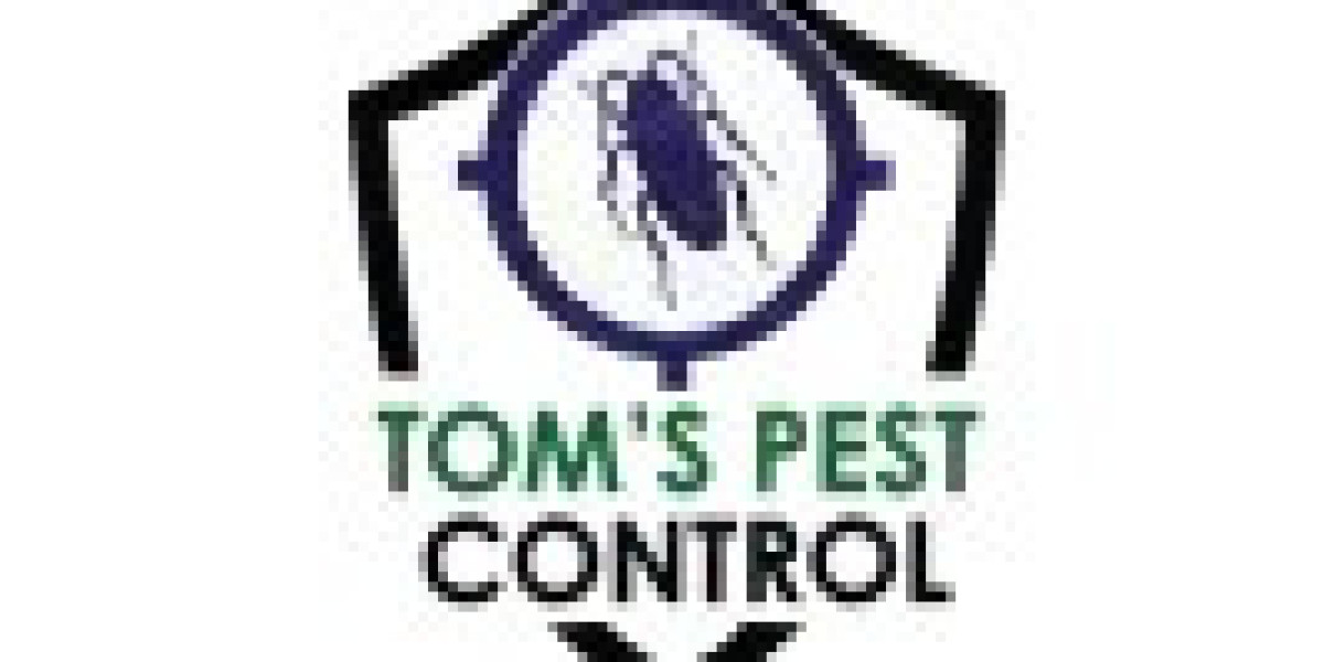 Effective Moth Control in London to Protect Your Home