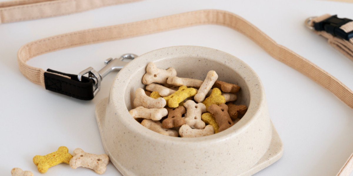 How Dog Supplements Can Improve Your Pet’s Joint, Skin, and Coat Health