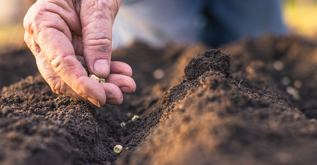 Encouraging Sustainable Practices Amongst Upstream Producers: What is Sustainable Agriculture?