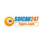 soicau247tvpro