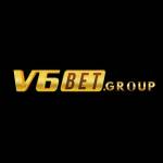 v6bet Group