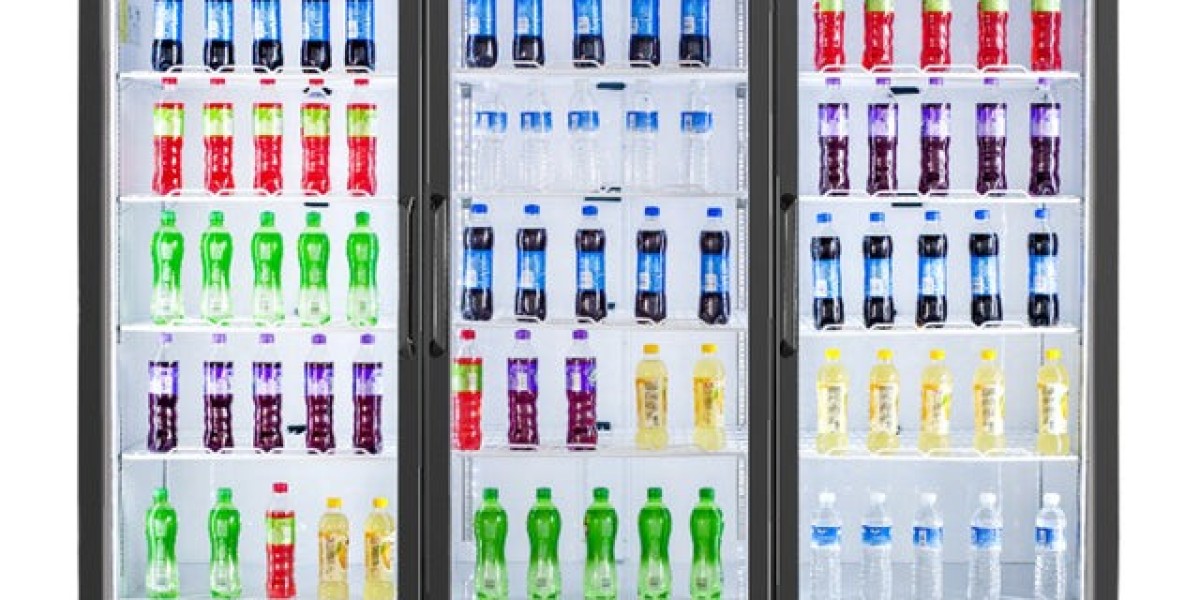 Exploring the Advanced Features of Frigos Refrigeration Systems