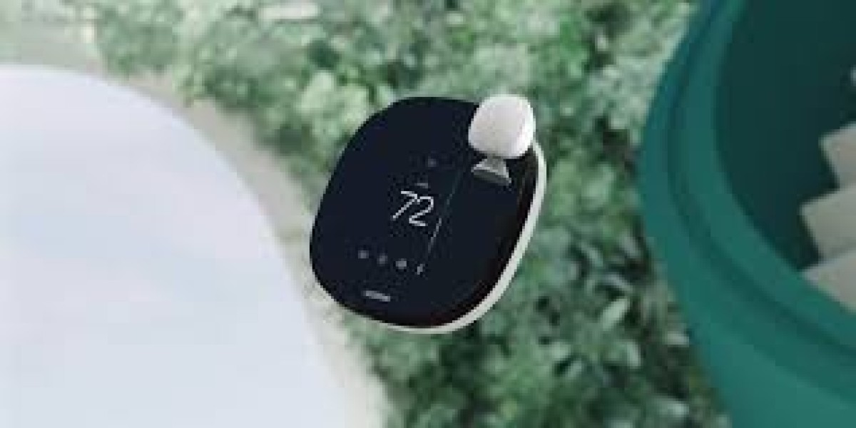 This Surge connected with Smart Thermostat Suppliers: Revolutionizing Property Local weather Management