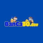 Banca30 Dev