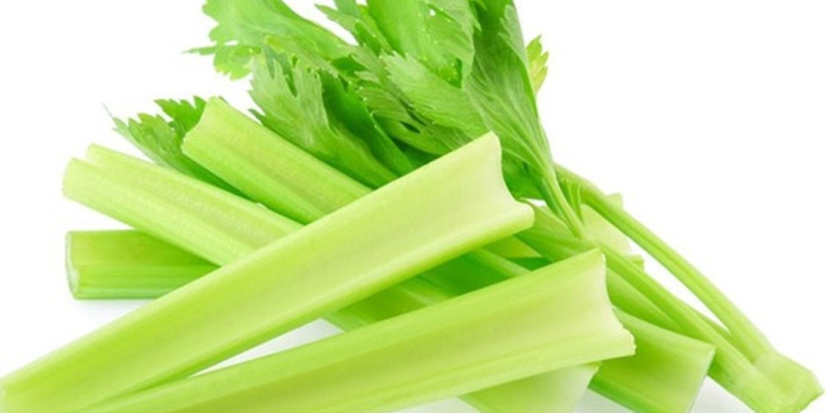 Celery Processing Plant Project Report 2024: Manufacturing Process, Cost and Raw Materials