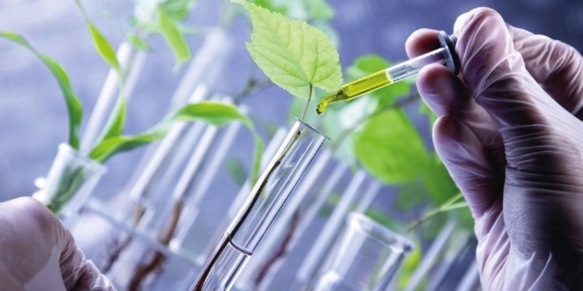 Challenges and Opportunities in the Renewable Chemicals Market