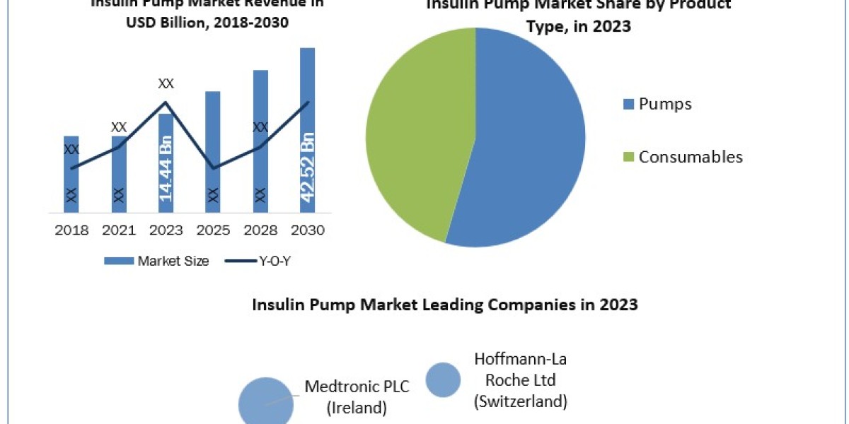 Insulin Pump Market Demand, Analysis, Trends, Key Players, Report, Forecast 2024-2030