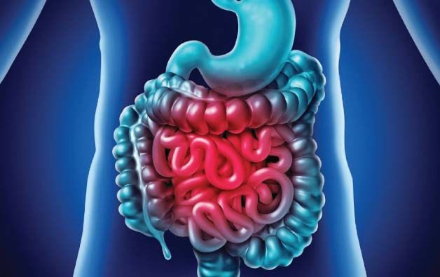 Small Intestine Surgery in Kolkata / Small Bowel Cancer Treatment