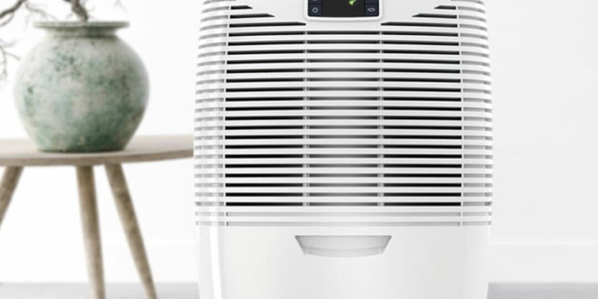 The Ultimate Guide to Choosing the Best Clothes Drying Dehumidifier