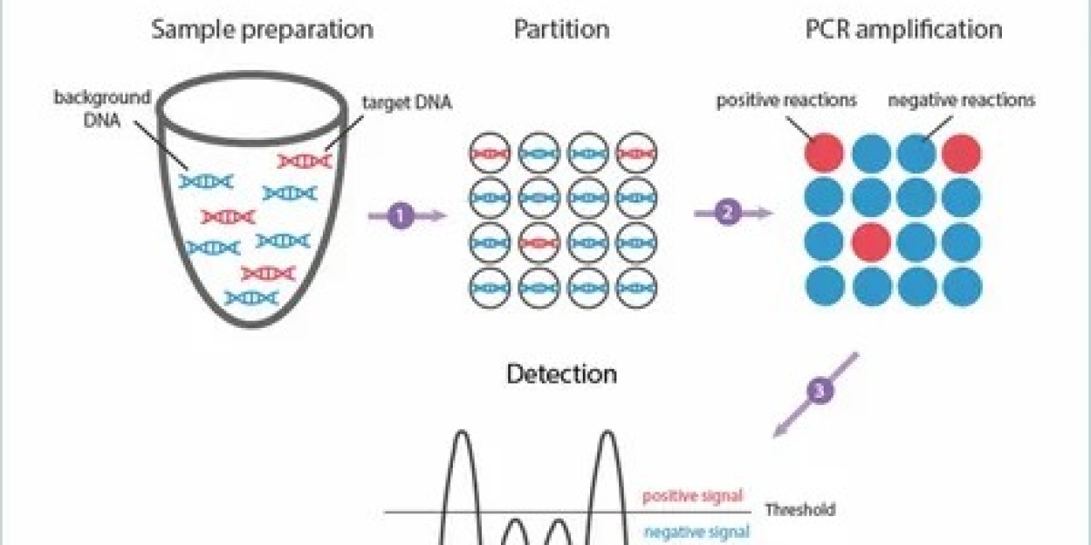 Digital PCR Market Size, Demand And Future Scope Report 2033