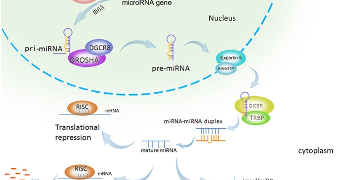 MicroRNA Market Size, Share, Challenges and Growth Analysis Report 2030