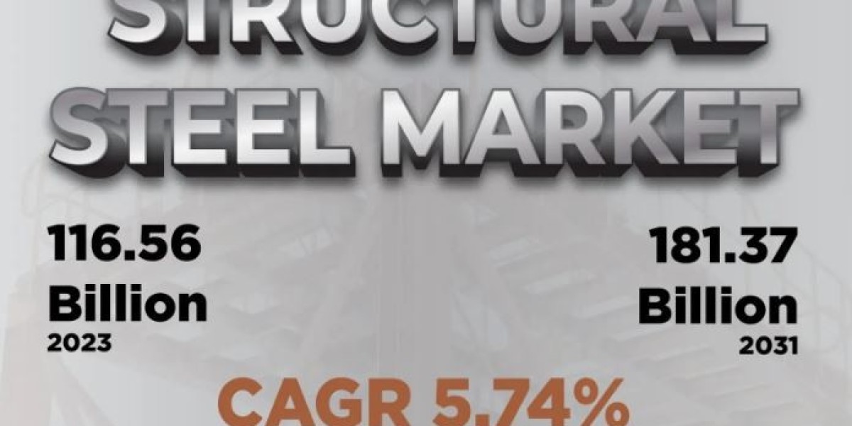 Structural Steel Market Report 2024 - Handheld Laser Meter Market Demand and Growth