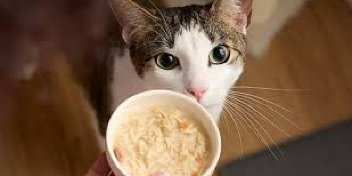 Understanding the Cat Wet Food Market: Key Players and Innovations