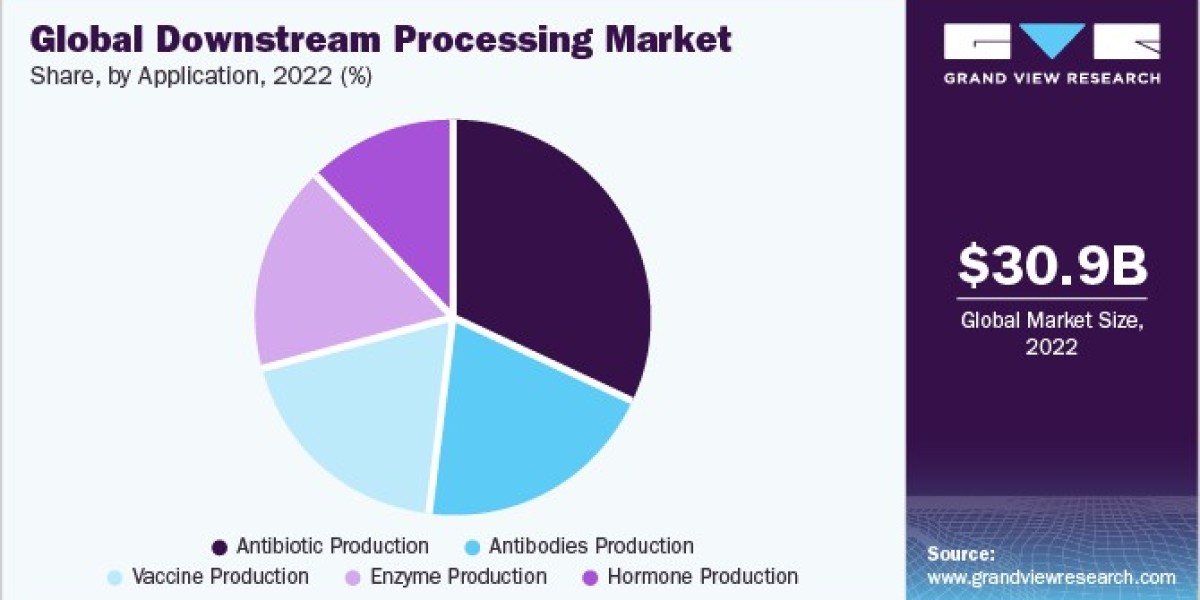 Downstream Processing Market: The Impact of Technology on Efficiency and Productivity