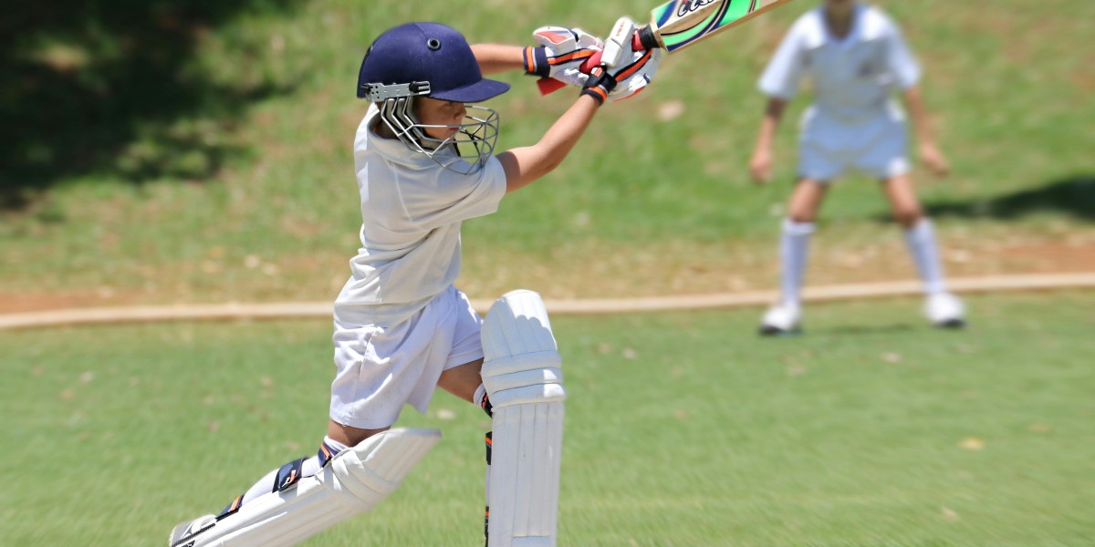 From Playground to Stardom: The Story Behind Reddy Anna’s Rise in Cricket.