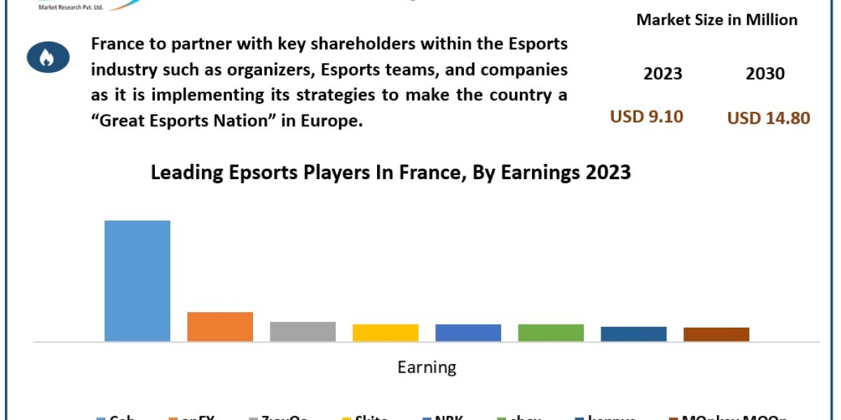 France Esports Industry Size, Share, Growth Drivers and Challenges 2024-2030