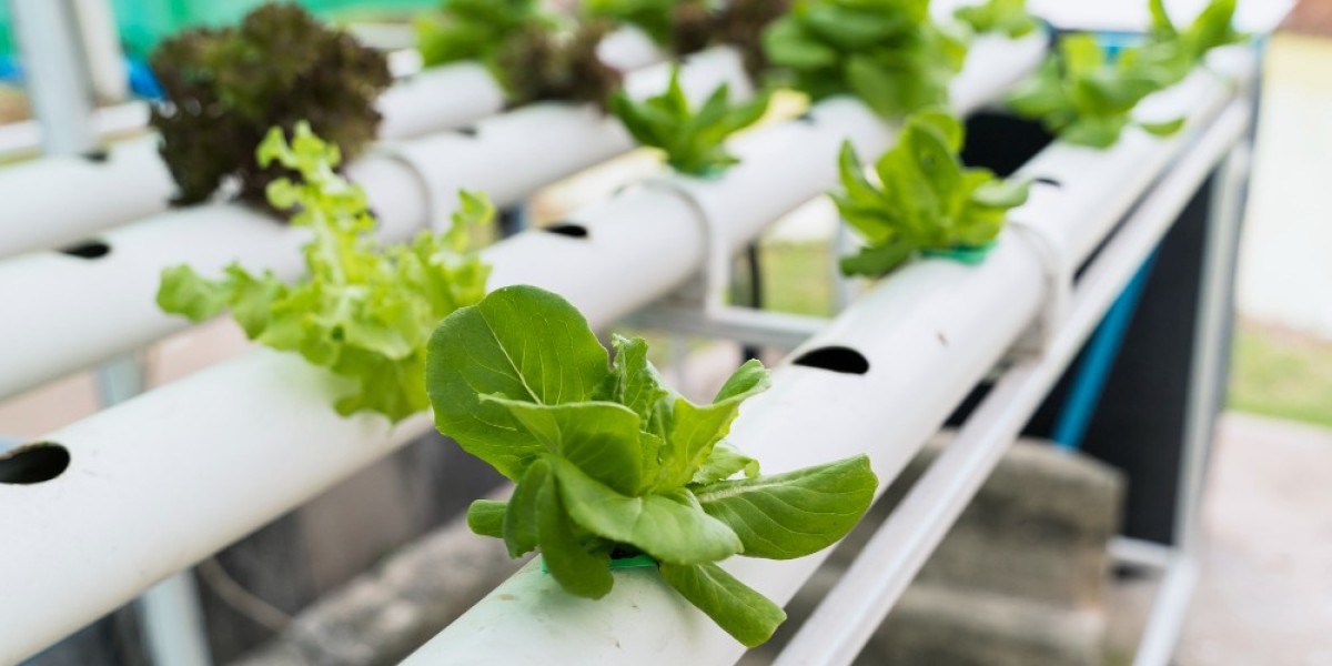 Global Aquaponics and Hydroponics Systems and Equipment Market Analysis: Trends, Innovations, and 2024 Forecast Study