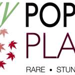 Poppin’s Plants