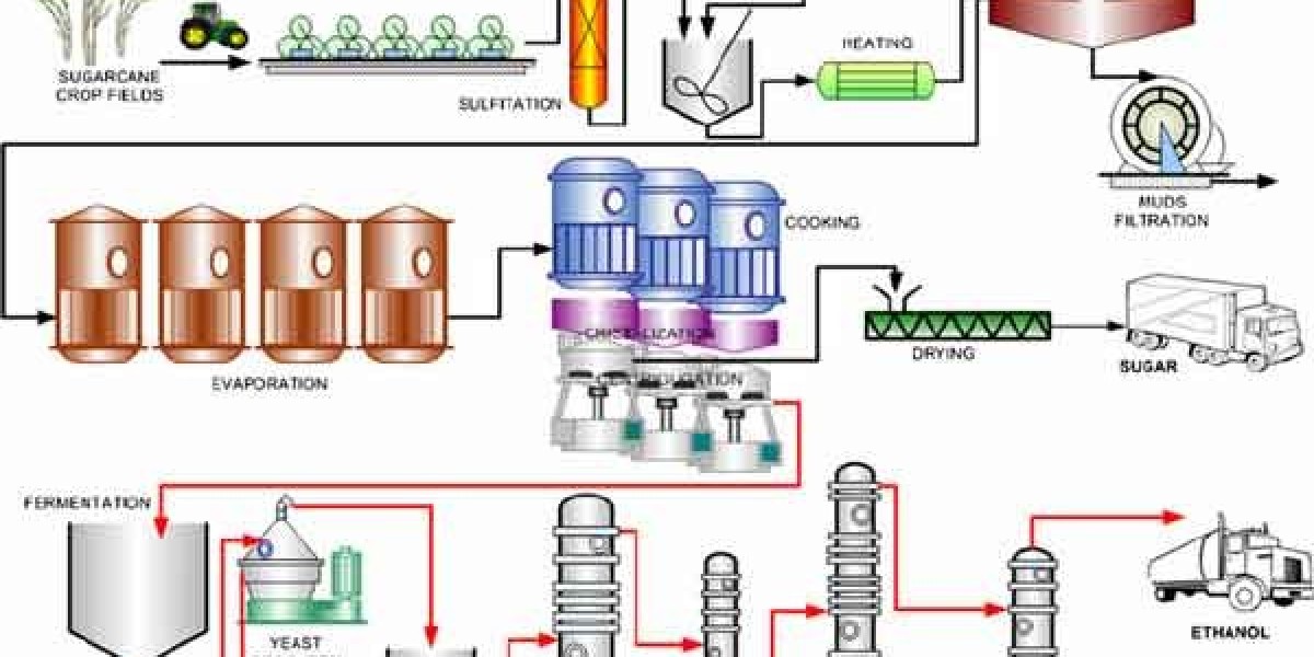 Renewable Ethanol Market Size, Share, Challenges and Growth Analysis Report 2033