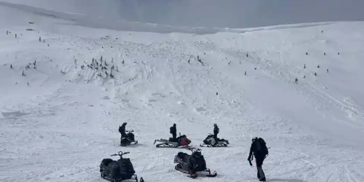 snowmobile avalanche course