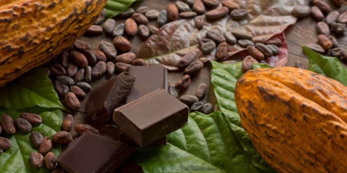 Comprehensive Organic Chocolate Market Report 2032: Size, Share, and Market Dynamics