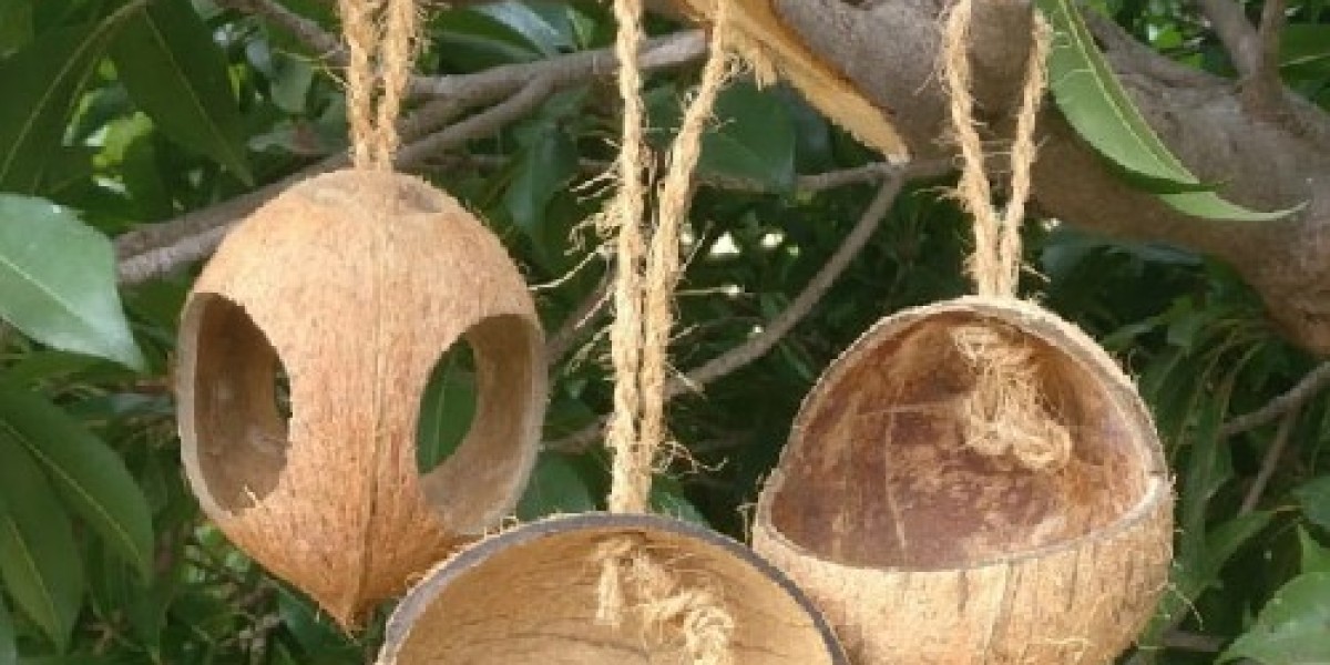 Coconut shells wholesale in Tuticorin | Eco-Friendly & Natural Products