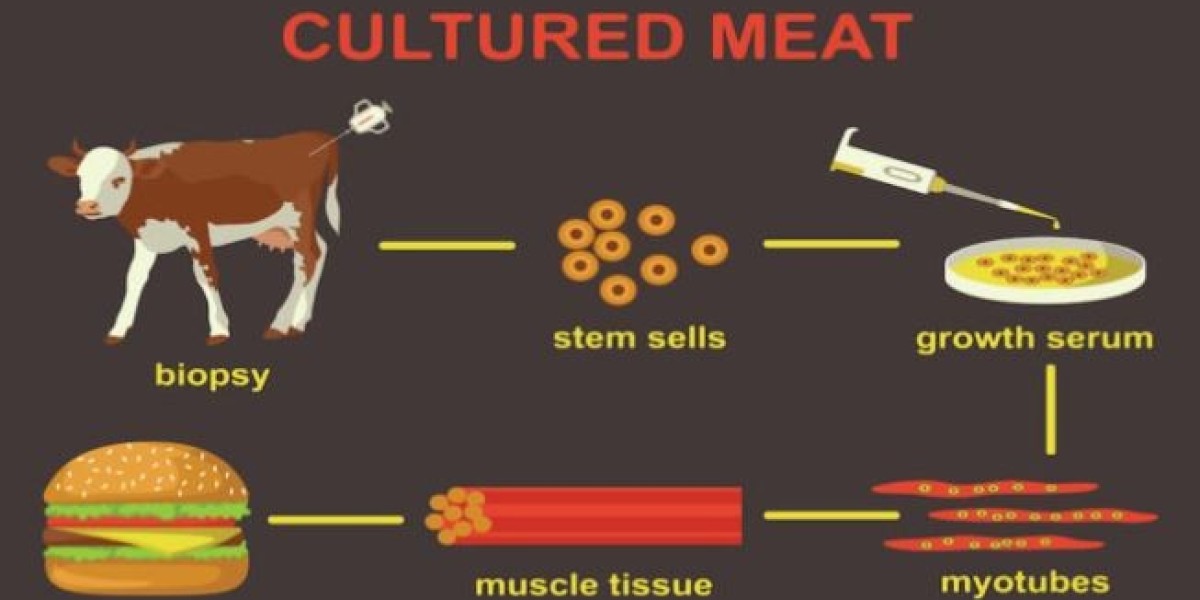 Cultured Meat Market Global Industry Worth $29.66 Billion Globally by 2031 at a CAGR of 97.89%