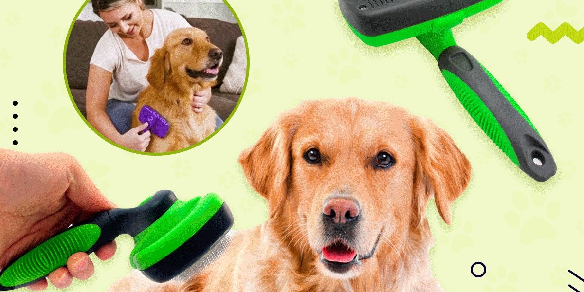 The Essential Guide to Pet Accessories: Elevating Your Pet's Life