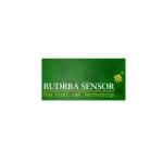 Rudra Sensor