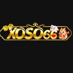 Xoso 66