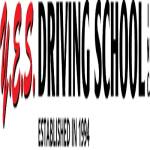 Y ES Driving School Inc