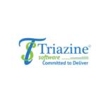 Triazine Software Pvt Ltd